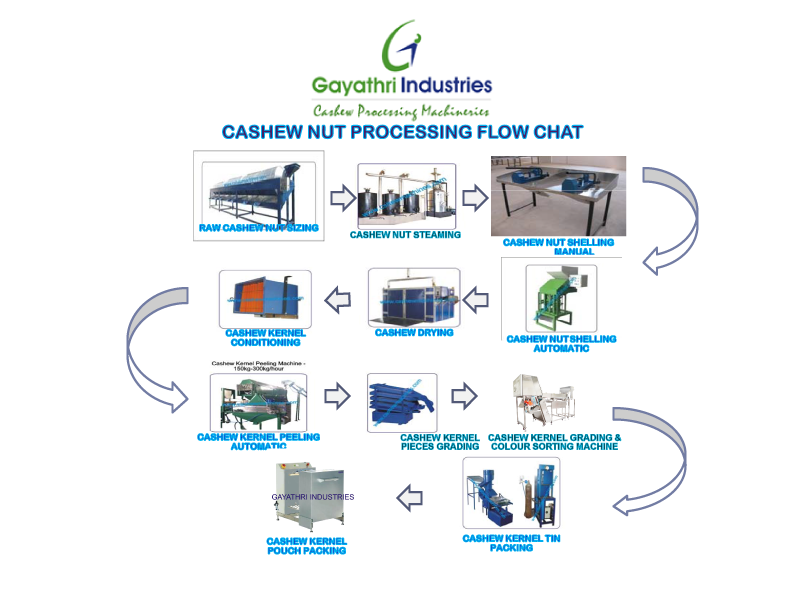Cashew Processing Flowchart